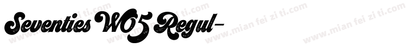 Seventies W05 Regul字体转换
